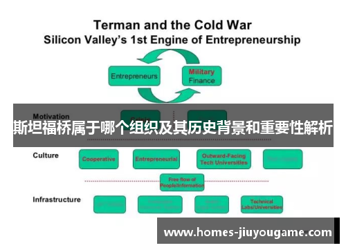 斯坦福桥属于哪个组织及其历史背景和重要性解析